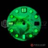 NH35 DIAL: Full Lume Sea Turtle lumeshot
