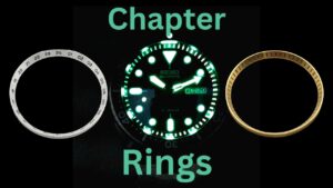 Read more about the article Chapter Rings: What You Need To Know
